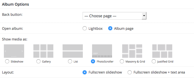 Fig. 2. Album options.