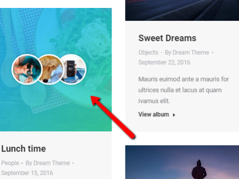 Afb. 1. Albums-pagina. Afb. 1. Albums-pagina.