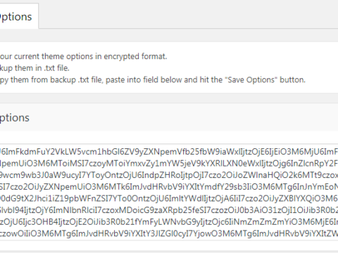 Fig. 1. Thema-instellingen Export Import Interface Fig. 1. Thema-instellingen Export / import interface.
