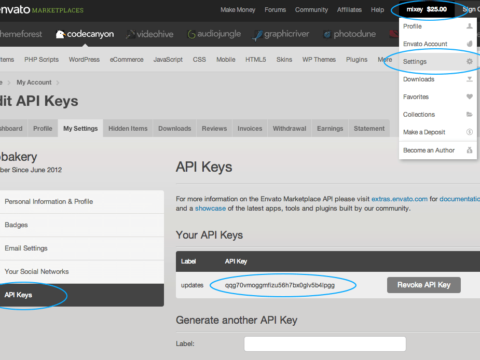 API sleutel API sleutel