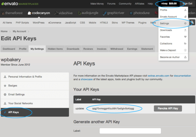 API sleutel API sleutel
