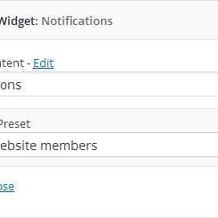 Wp Brain Example Widget 1